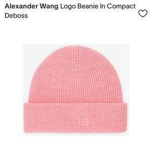 Alexander Wang Soft Pink Knit Beanie with debossed logo- sold out NWT